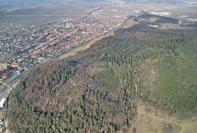 Teren intravilan - 10