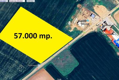 5,7 Ha. vav de Dovinot - Mihailesti, teren intravilan cu deschidere la DN6 - 1