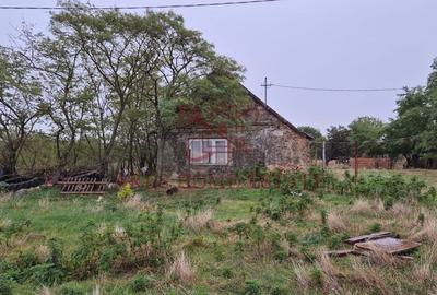 Teren 910 mp cu casa veche - Seceani - 30 km de Timișoara Teren 910 mp cu casa veche - Seceani - 30 km de Timișoara - 2