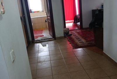 Apartament cu 2 camere decomandat în Baciu - 2