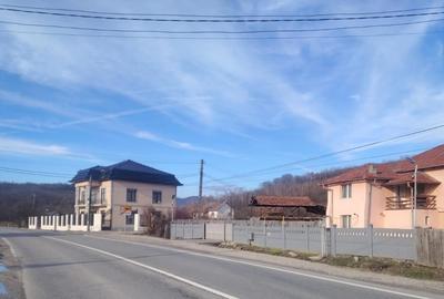 Teren de vanzare – oportunitate de investitie – DN67, Barsesti - 4