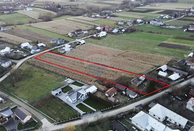 Casa de vanzare in Com Fratautii Noi - 12