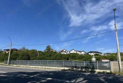 Teren in Hunedoara, zona Pestisu Mare la 12 km de Deva*800 mp! - 4