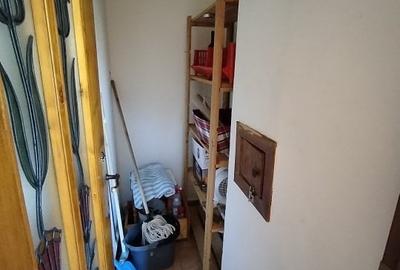 Apartament cu 3 camere de inchiriat in Timisoara, zona Lidia - 21