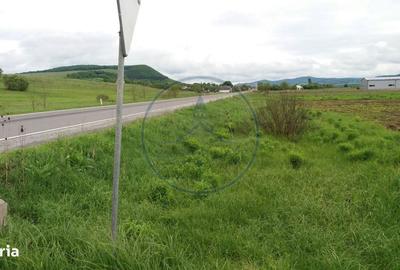 Spațiu comercial, în Șintereag - 1