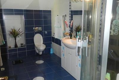 Casa de vanzare, 6 camere, teren 900 mp, Europa - 17