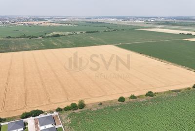 Teren agricol intravilan de 13629 mp, în Tunari - 1