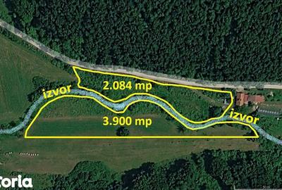 Teren de 6000 mp, în Vețel - 7