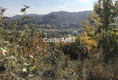 Cornu de jos, Prahova, DN1, 2200mp - 2