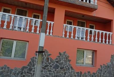 Casa garnde , Carpinis Timisoara - 7