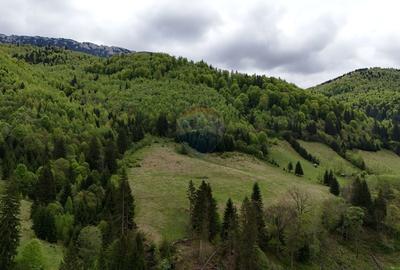 Teren agricol extravilan de 48297 mp, în Sătic - 1