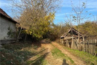 Casă cu 3 camere cu Teren 2650 Mp în Burzuc - 2