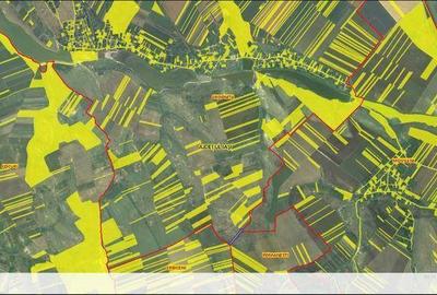 Teren de 69000 mp, în Central - 2