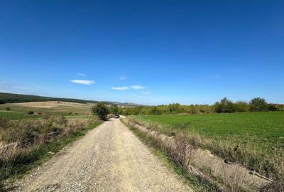 Teren de 4300 mp, în Adâncata - 3