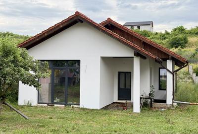 Casă individuală cu 4 camere cu Teren 500 Mp în Cetate - 1