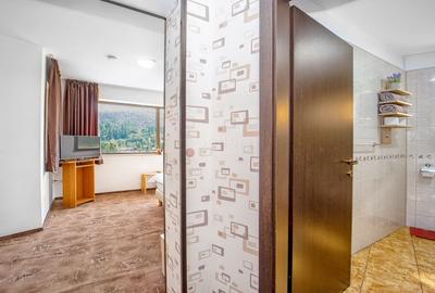 Pensiune Turistica Montana - 36