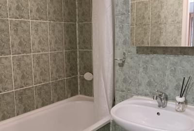 APARTAMENT CU O CAMERA-LA 5 MINUTE DE FSEGA/IULIUS MALL - 10