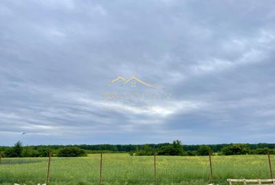 Vila exclusivista_P+1*5 Camere*Teren 704 mp*Langa Padure//Balotesti - 5