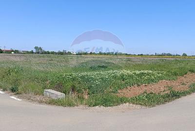 Teren 980mp Ciolpani - 2