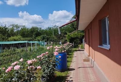 Vila, Republicii, Bacau - 4