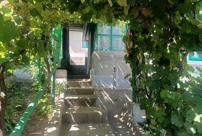 Casa de vanzare In Tulcea constuctie de 120 metri patra?i pe suprafa?a totala de 300 metri patrati - 6