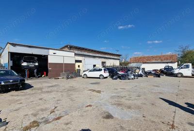 De inchiriat hala + teren Izvin- 326 - 3