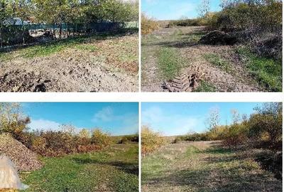 Cota de 1/4 dinteren extravilan- com. Buzoesti, jud. Arges - 3