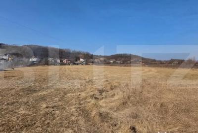 Teren de 2000 mp, în Central