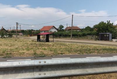 Casa de vanzare in Domanesti - 8
