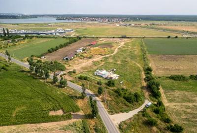 Teren de 30000 mp, în Cernica - 4