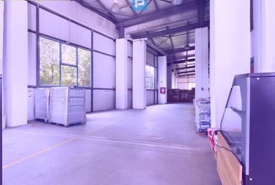 Spatii depozitare clasa A, zona Bucuresti sud - Jilava - 4