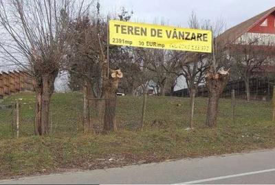 Teren de 2391 mp, în Câmpulung Muscel - 1
