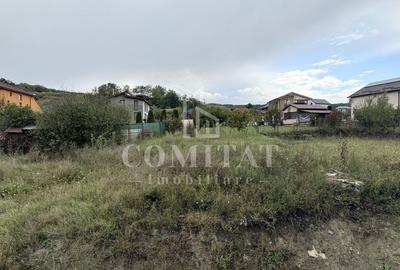 Casă individuală cu 699 teren la preț bun Chinteni - 3