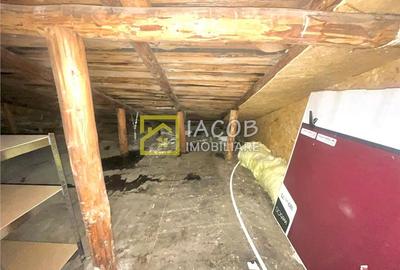 Apartament cu 3 camere decomandat în Alecu Russo - 13