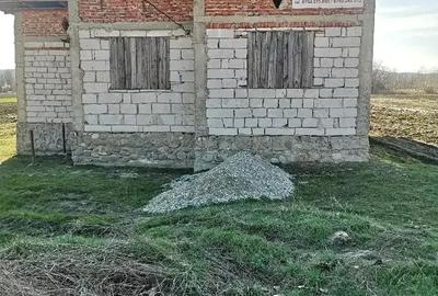 Casă cu 7 camere cu Teren 5000 Mp în Grădiștea - 4