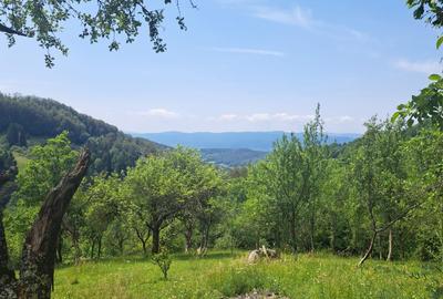 Casă cu 2 camere în Hălmagiu - 2