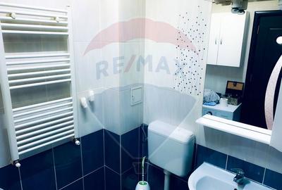 Apartament 2 camere de vanzare Drumul Fermei,Popesti - 13