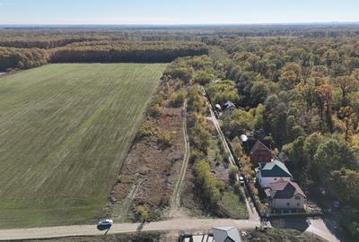 Snagov padure - Teren intravilan cu PUZ aprobat - 6