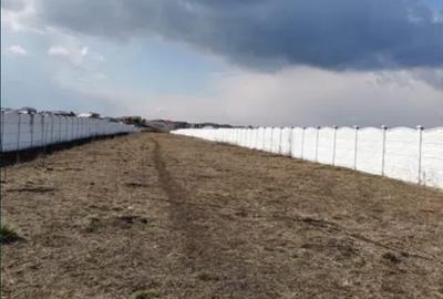 Teren Construcții intravilan de 3.0150001049042 mp, în Tunari - 4