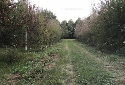 Teren la Strada EUROPEANA , CU TOATE UTILITATILE parcele de case - 7