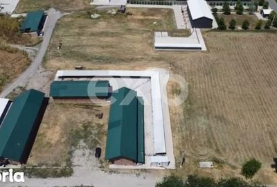 Teren de 105000 mp, în Singureni - 8