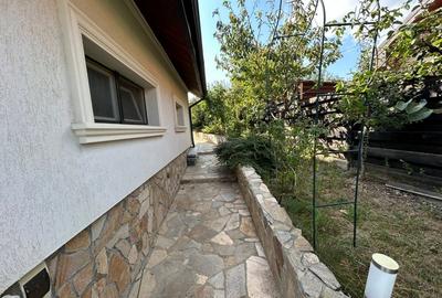 VILA CU 5 CAMERE, 150 MP UTILI, BECI, GARAJ, 717 MP TEREN, VISAN-BUCIUM - 9