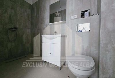 Apartament cu 2 camera de vanzare, Alba-Micesti - 5