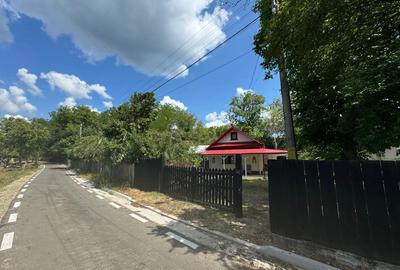 Casa de vacanta Casa de vacanta - 6