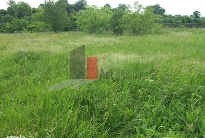 Teren de 3000 mp, în Central - 2