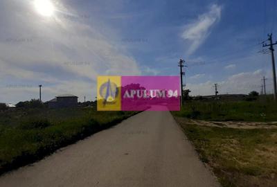 Teren construcție casă - 1 Decembrie - Zona Metropolitană București Teren construcție casă - 1 Decembrie - Zona Metropolitană București - 12