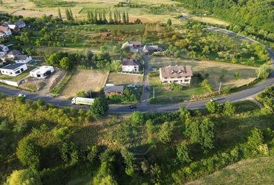 Hotel/Pensiune, de 600 mp, în Groși - 5