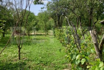 Casă cu 4 camere cu Teren 1300 Mp în Central - 9