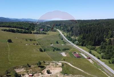 Teren agricol intravilan de 5561 mp, în Păltinoasa - 9