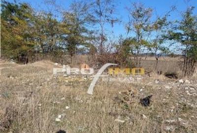 Teren de 1600 mp, în Central